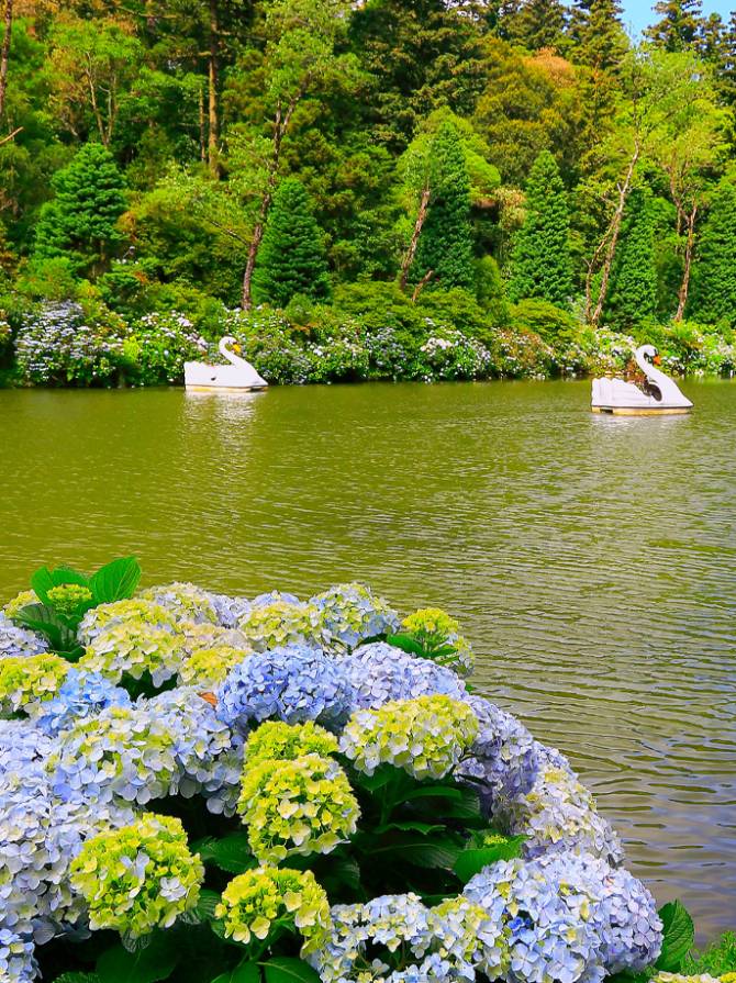 lago_negro